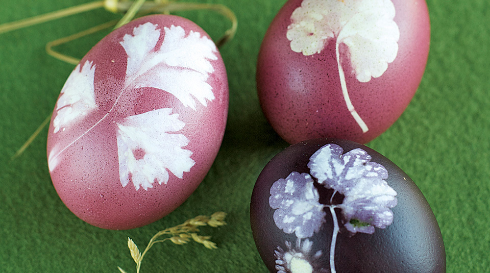 Rezepte für Ostern: Ostereier natürlich färben | Küchengötter