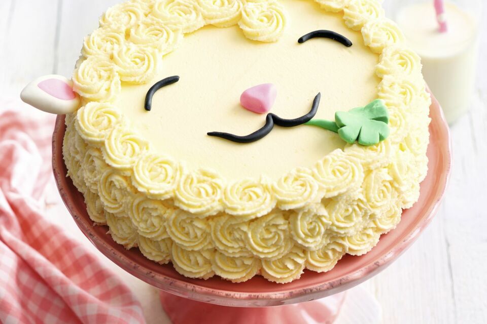 Torten Rezepte Fur Kinder Kuchengotter