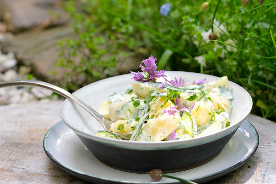 Kartoffelsalat mit Kräutern