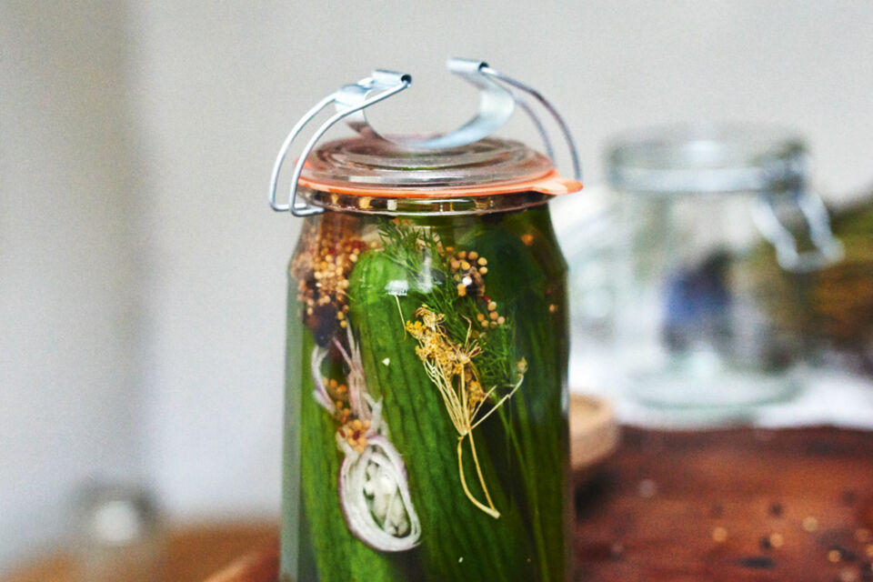 Rezepte für eingelegte Gurken - Gurken ganz einfach selber einlegen ...
