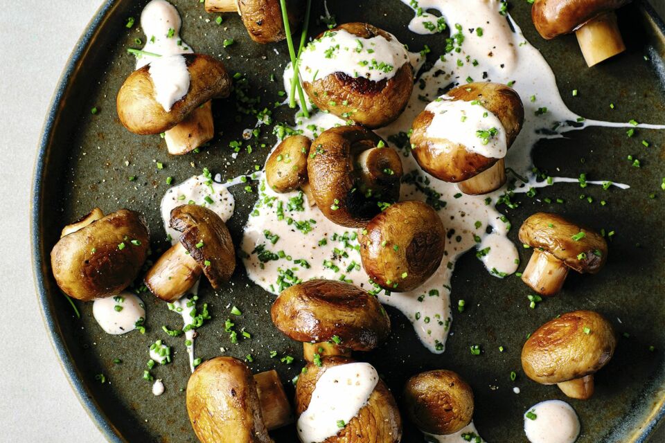 Champignons - Rezepte, Tipps & Ideen | Küchengötter Champignons - Rezepte, Tipps & Ideen | Küchengötter