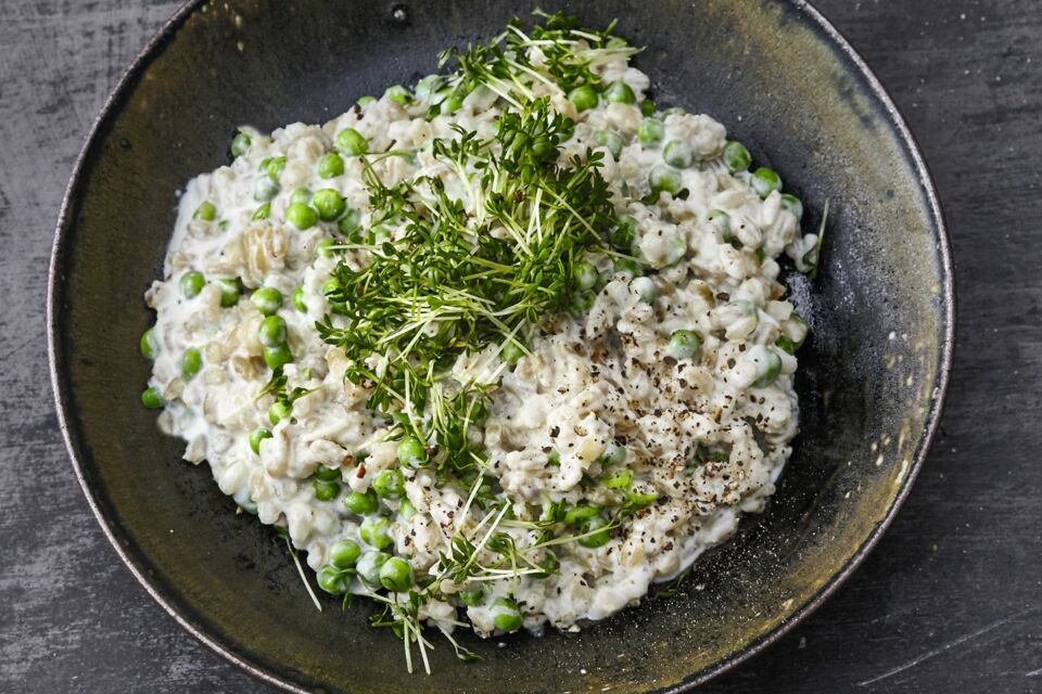 Risotto-Rezepte | klassisch | vegan | vegetarisch | Küchengötter
