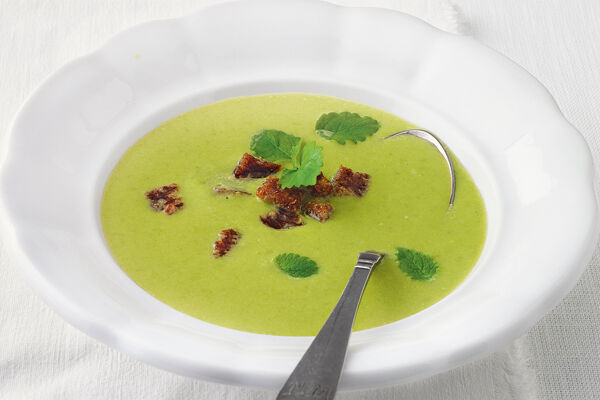 Rezeptideen mit Zitronenmelisse | Küchengötter Rezeptideen mit Zitronenmelisse | Küchengötter