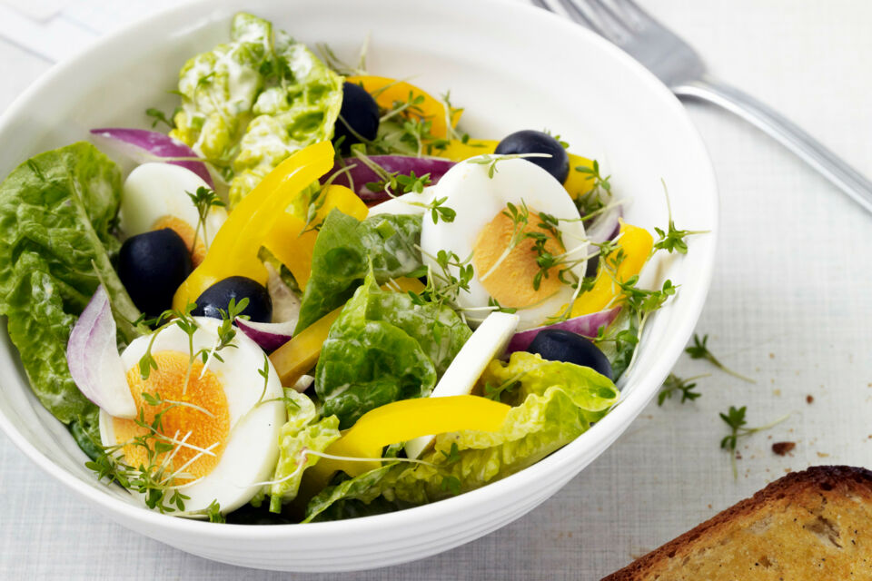Bunter Salat mit Knoblauchbrot