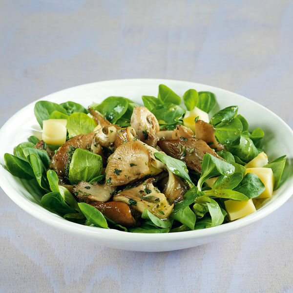 Feldsalat mit gebratenen Austernpilzen Rezept | Küchengötter