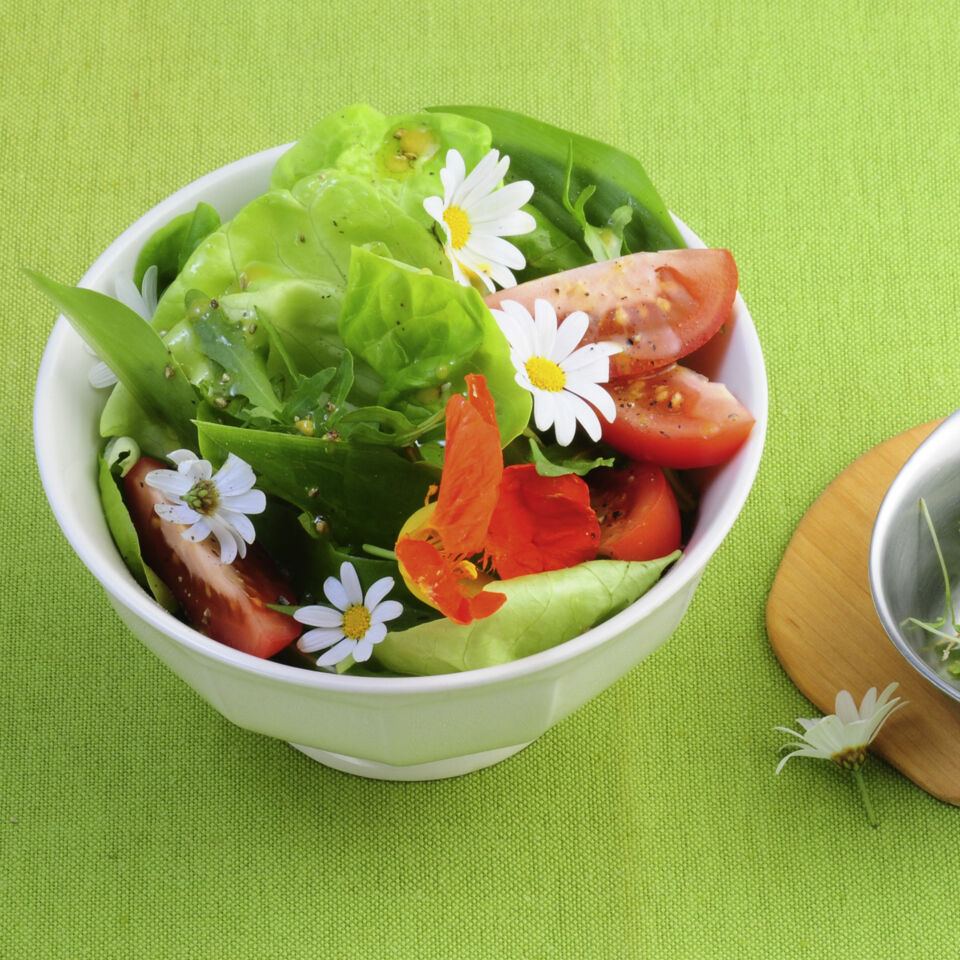 Frühlingskräutersalat Rezept | Küchengötter