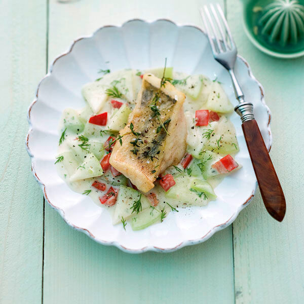 Gebratener Zander auf Kohlrabi-Tomaten-Gemüse Rezept | Küchengötter Gebratener Zander auf Kohlrabi-Tomaten-Gemüse Rezept | Küchengötter