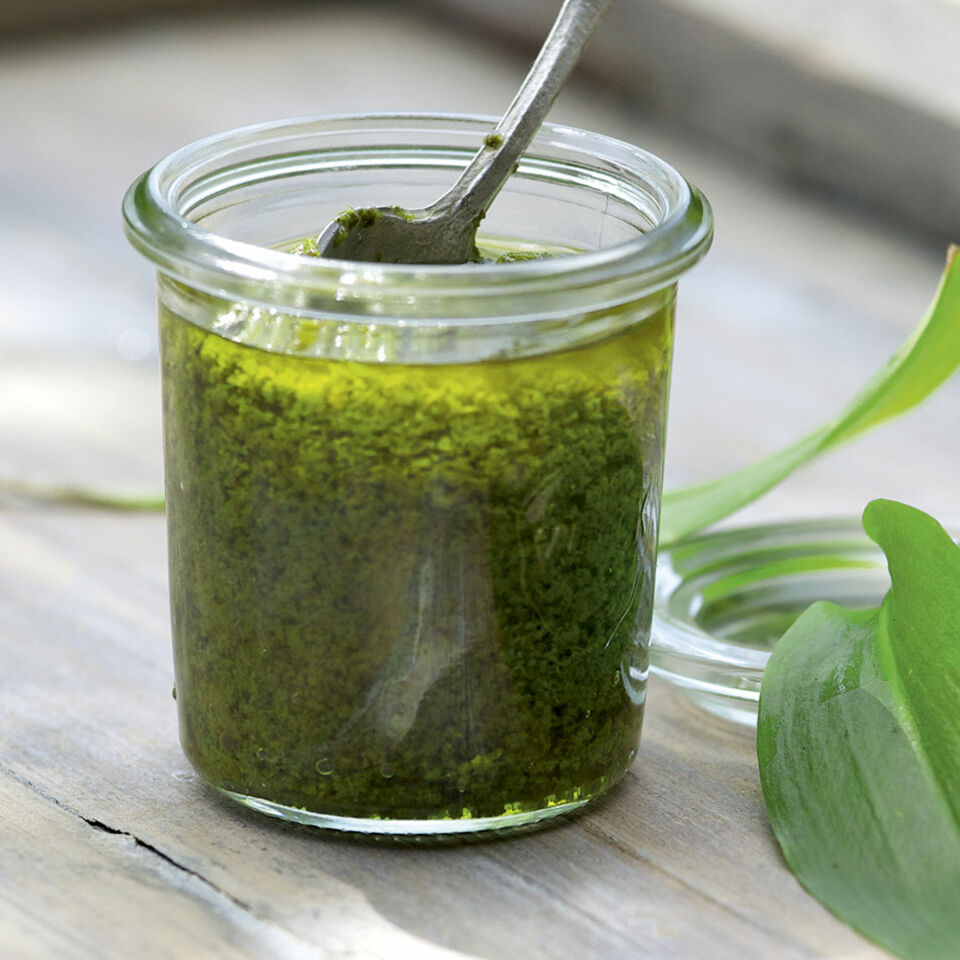 Bärlauchpesto