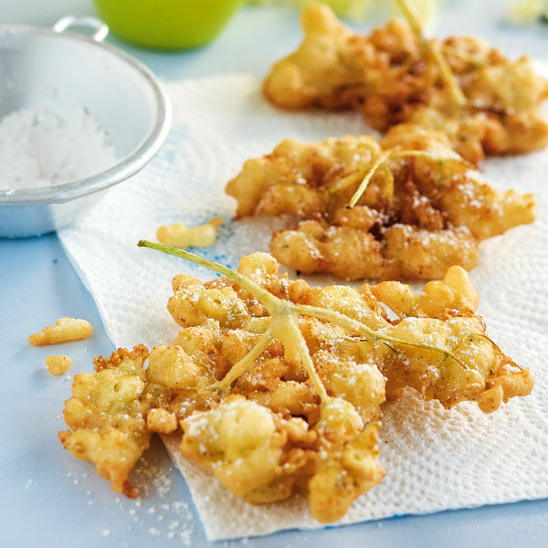 Vielseitiger Holunder