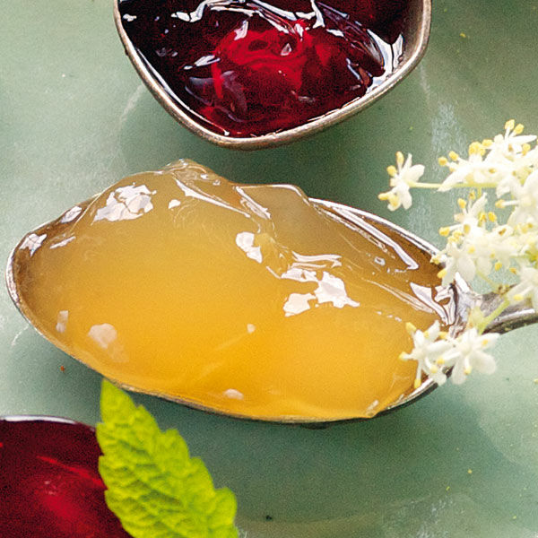 holunderblutengelee rezept kuchengotter