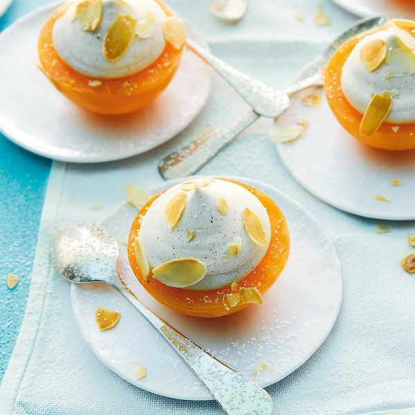 Eis-Mandarinen mit Lebkuchen-Parfait