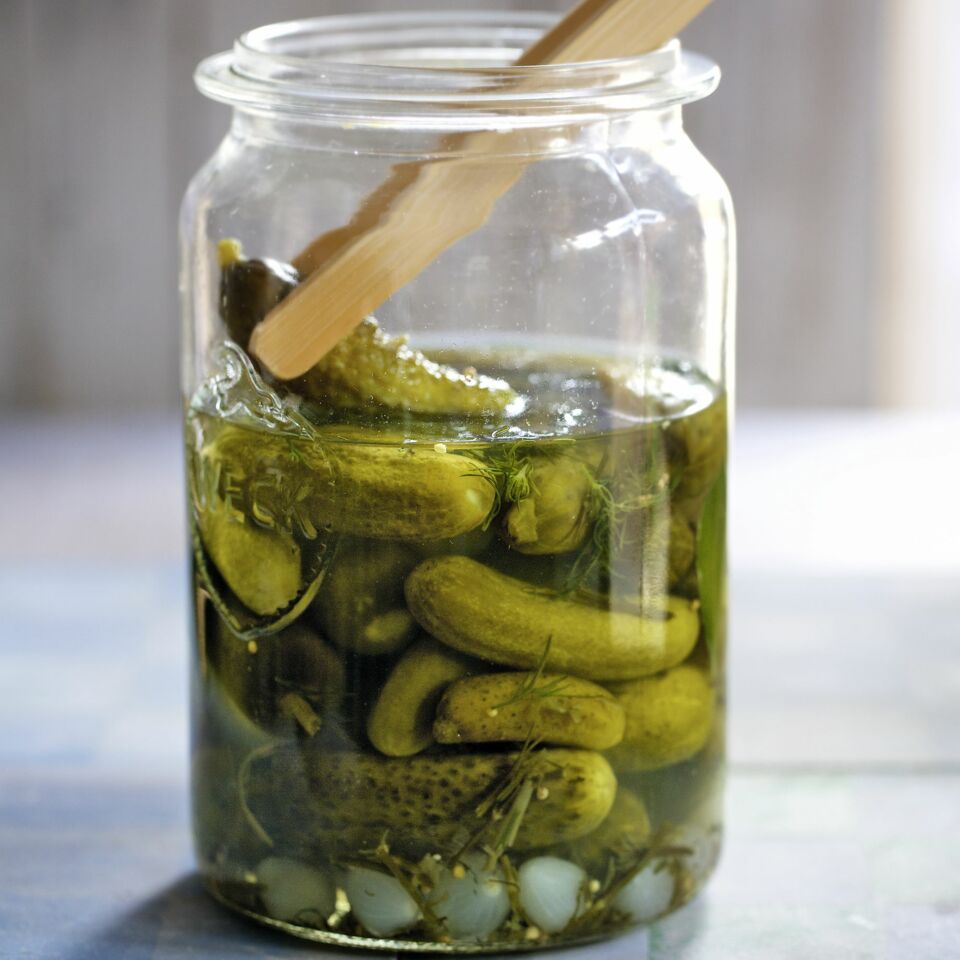 Eingelegte saure Gurken mit Dill Rezept | Küchengötter Eingelegte saure Gurken mit Dill Rezept | Küchengötter