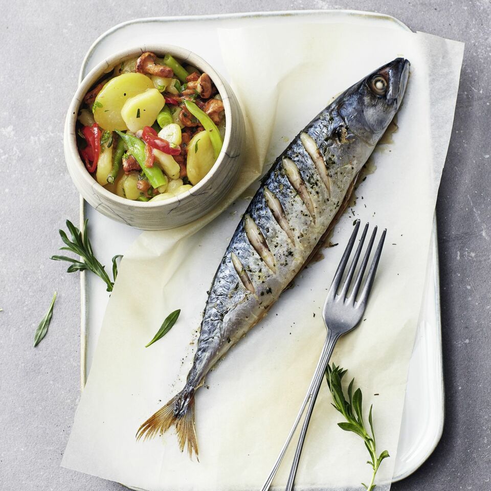 Gegrillte Makrelen mit Kartoffel-Bohnen-Salat und Pfifferlingen Rezept ... Gegrillte Makrelen mit Kartoffel-Bohnen-Salat und Pfifferlingen Rezept ...