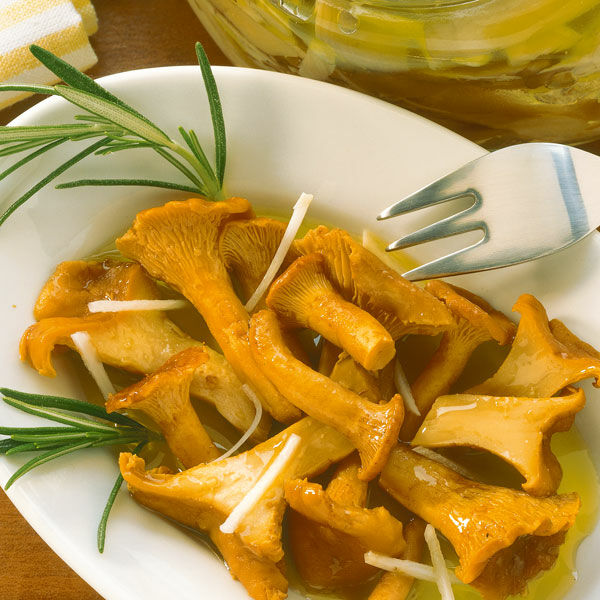 Pfifferlinge in Olivenöl Rezept | Küchengötter Pfifferlinge in Olivenöl Rezept | Küchengötter