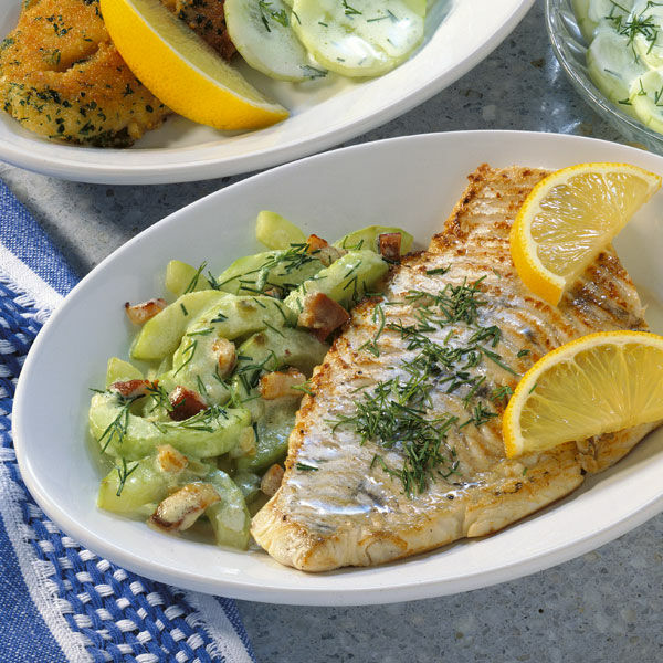 Zander mit Schmorgurken Rezept | Küchengötter Zander mit Schmorgurken Rezept | Küchengötter