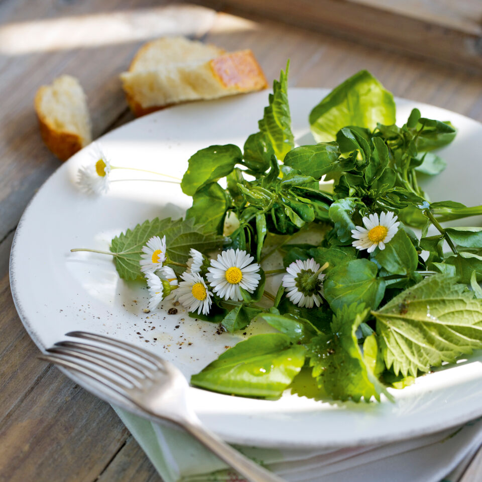 Brunnenkressesalat mit Wildkräutern und Blüten Rezept | Küchengötter Brunnenkressesalat mit Wildkräutern und Blüten Rezept | Küchengötter