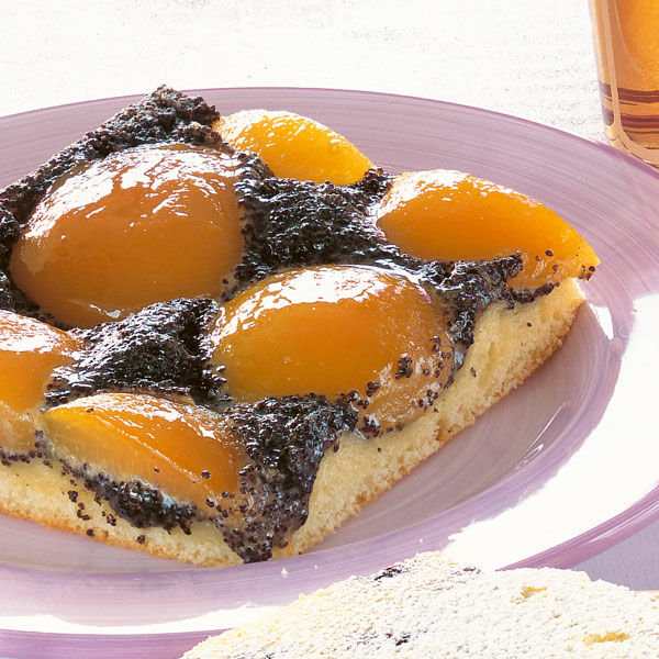Mohn-Aprikosenkuchen Rezept | Küchengötter Mohn-Aprikosenkuchen Rezept | Küchengötter