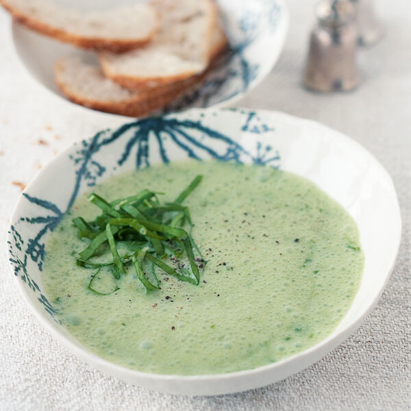 Schaumige Sauerampfersuppe Rezept | Küchengötter Schaumige Sauerampfersuppe Rezept | Küchengötter