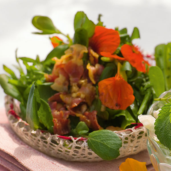 Wildkräutersalat mit Speck Rezept | Küchengötter
