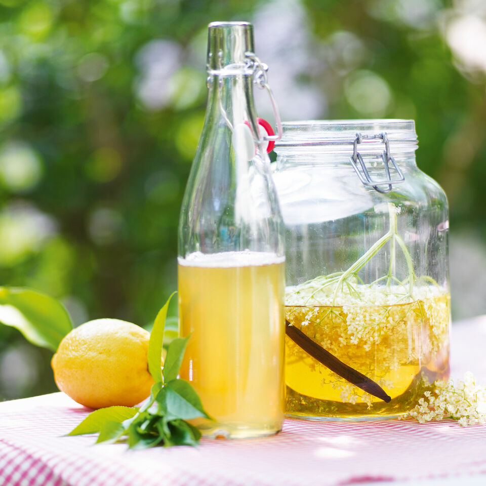 Holunderblüten Sirup