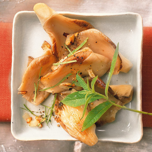 Austernpilze mit Zitronenverbene Rezept | Küchengötter Austernpilze mit Zitronenverbene Rezept | Küchengötter