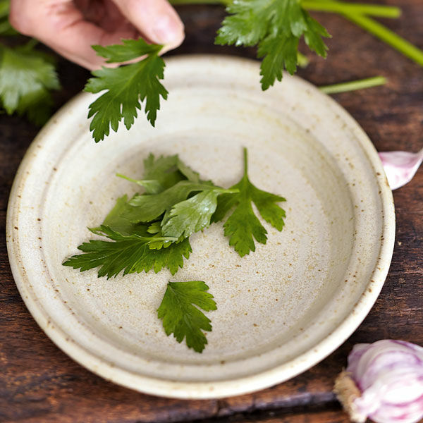 Eingelegte Sardellen mit Knoblauch Rezept | Küchengötter Eingelegte Sardellen mit Knoblauch Rezept | Küchengötter